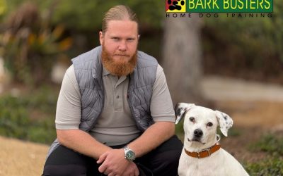 Bark Busters Home Dog Training Orange County South